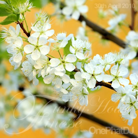 Funky House Finesse 27